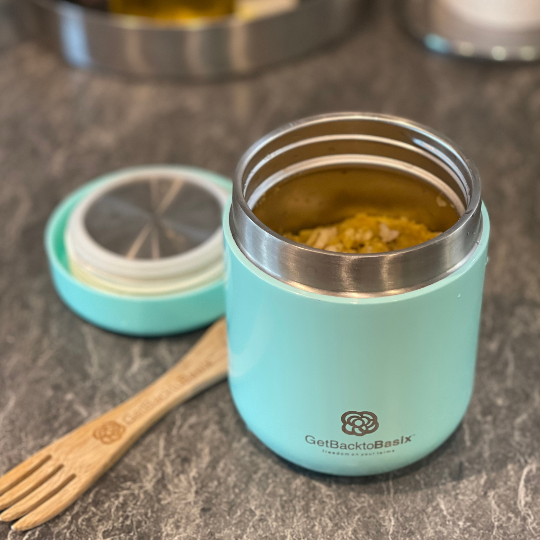 Stainless Steel Vac Flask Food Jar MINT 500ml – Fridge-to-go